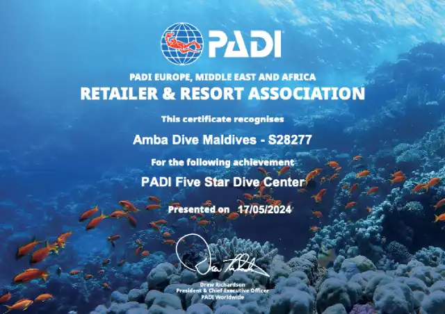 Padi - Retailer